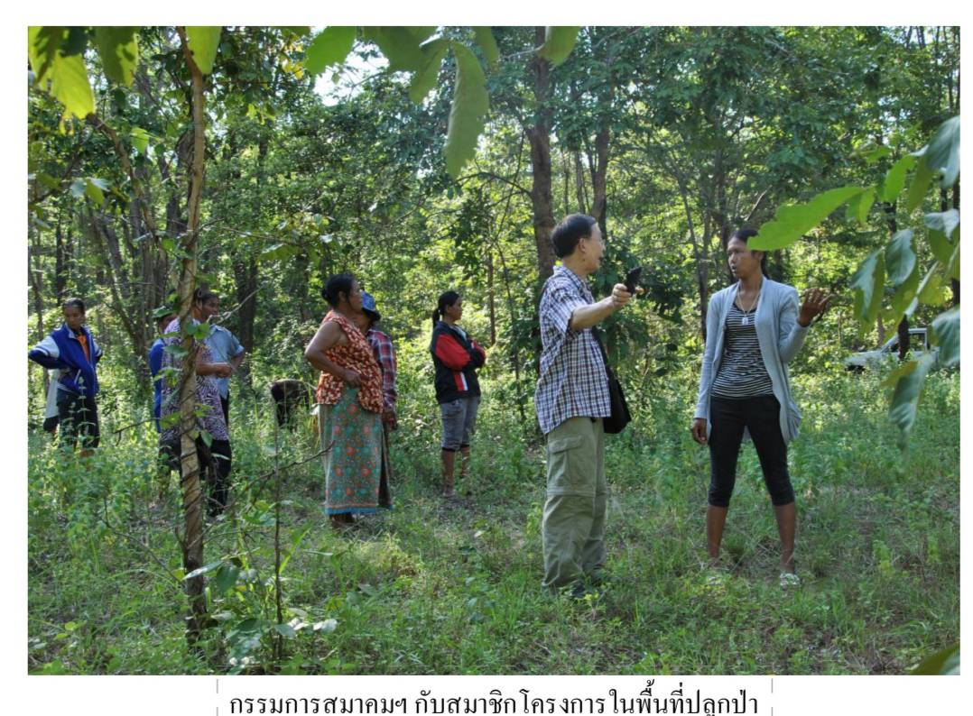 โครงการปลูป่าเฉลิมพระเกียรติพระบาทสมเด็จพระเจ้าอยู่หัว เนื่องในวโรกาสพระราชพิธีมหามงคลเฉลิมพระชมพรรษา ๗ รอบ ๕ ธันวาคม ๒๕๕๔
ภาพกิจกรรม: กรรมการสมาคม ฯ กับสมาชิกโครงการในพื้นที่ปลูกป่า